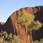 Ein Blick auf den Uluru von der Seite